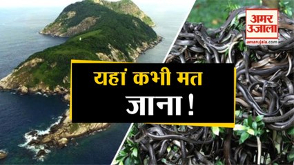 Brazil का Snake Island क्यों है इतना खतरनाक
