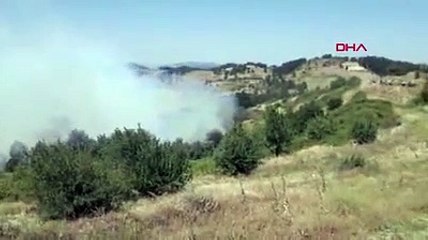 Buldan'da ormanlık alanda yangın