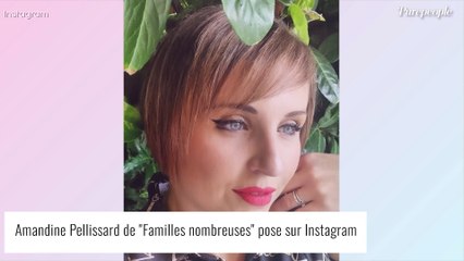 Amandine Pellissard (Familles nombreuses) enrichie grâce à la CAF ? Révélations sur son quotidien