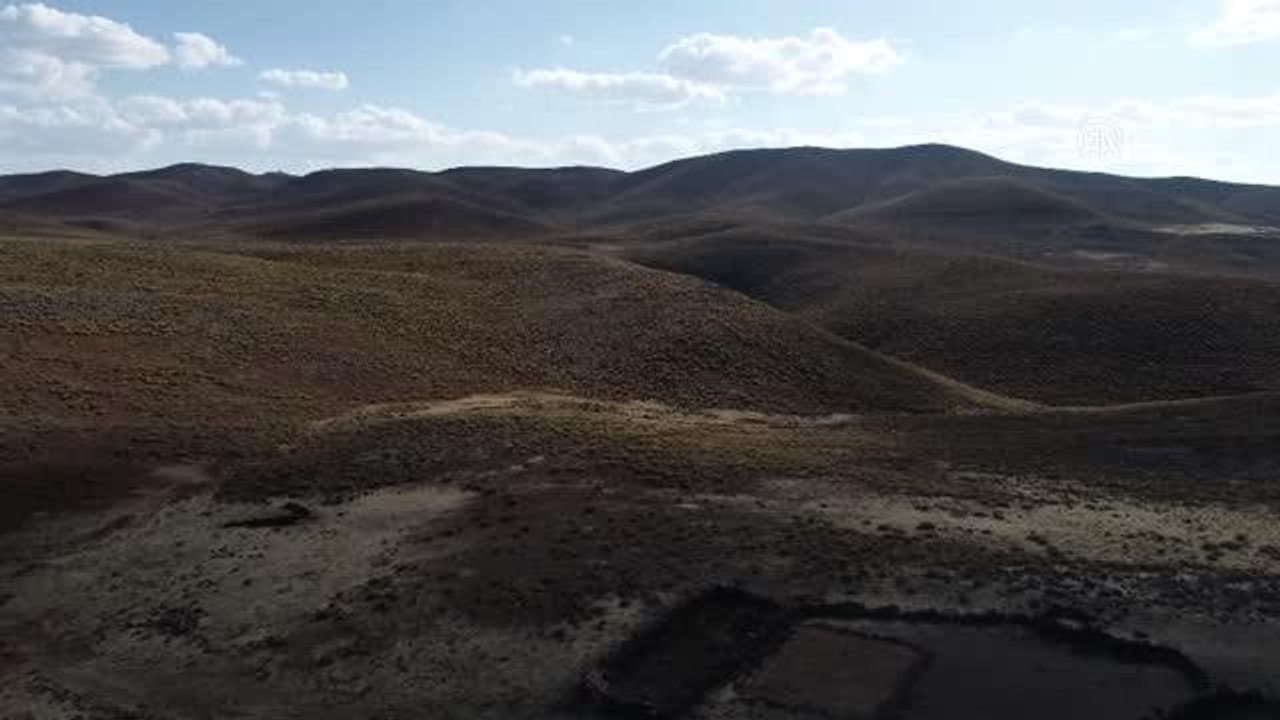 Diyarbakır Büyükşehir Belediyesi kuraklıktan etkilenen besicilere tankerlerle su taşıyor