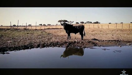 Priego de Córdoba - Promo