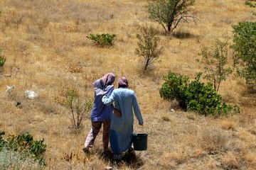 Son dakika haber | Vatandaşlar yangına kova ile su taşıdılar