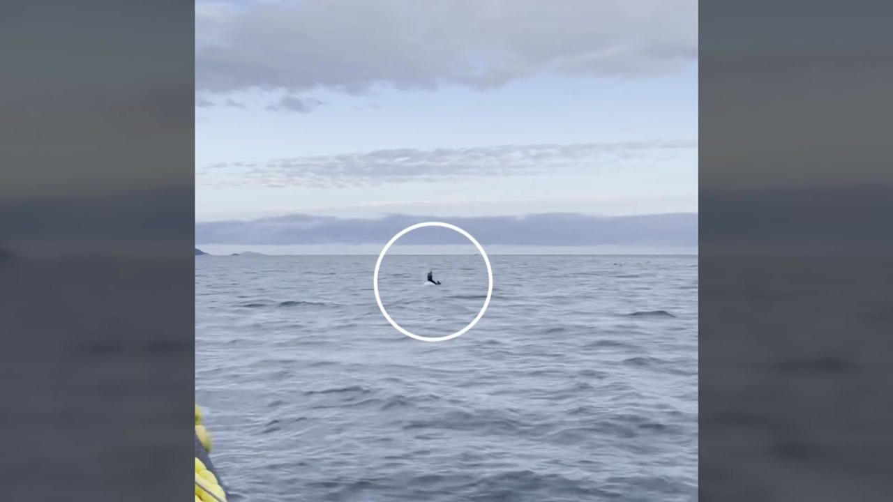 부안 앞바다 레저 보트 전복...승선원 2명 모두 구조 / YTN