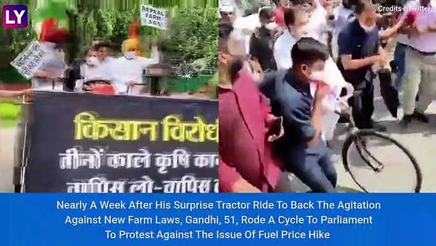 Rahul Gandhi Cycles To Parliament After Opposition Parties Meet Over Breakfast