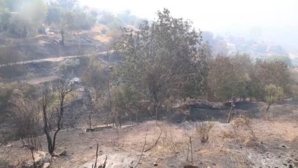 Muğla Milas'taki yangını söndürme çalışmaları devam ediyor