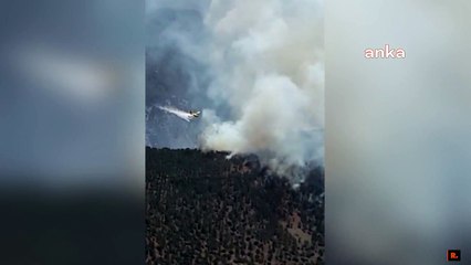 Köyceğiz yangını durdurulamıyor: Çayhisar Mahallesi boşaltılıyor