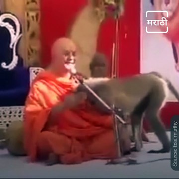 Watch: What Happens When Monkey Enters On Stage At Rambhumi Ayodhya