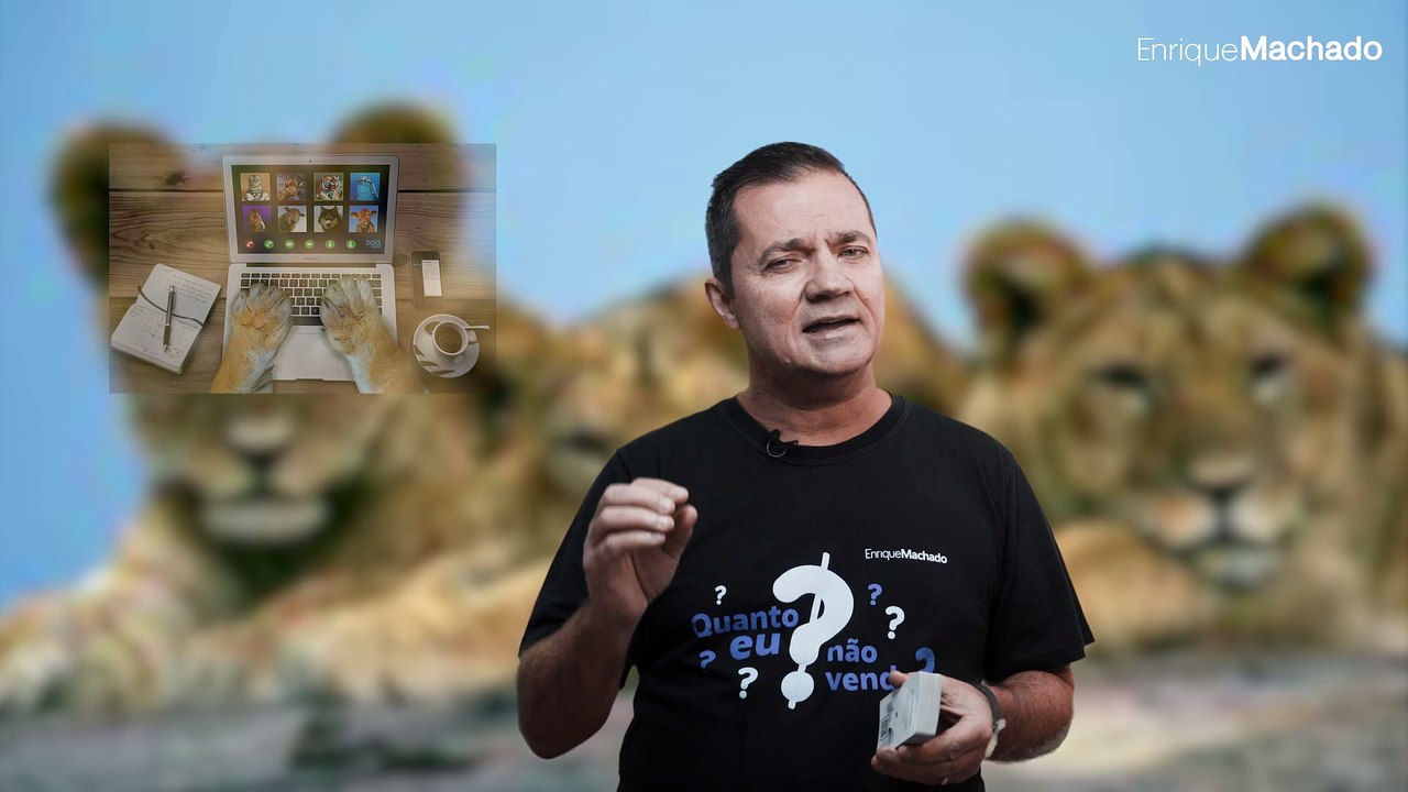BARALHO "QUANTO EU NÃO VENDO?" CARTA - 28
