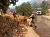 Son dakika haberleri | Jandarma Genel Komutanlığı 2 bin 310 personeliyle yangınla mücadele ediyor