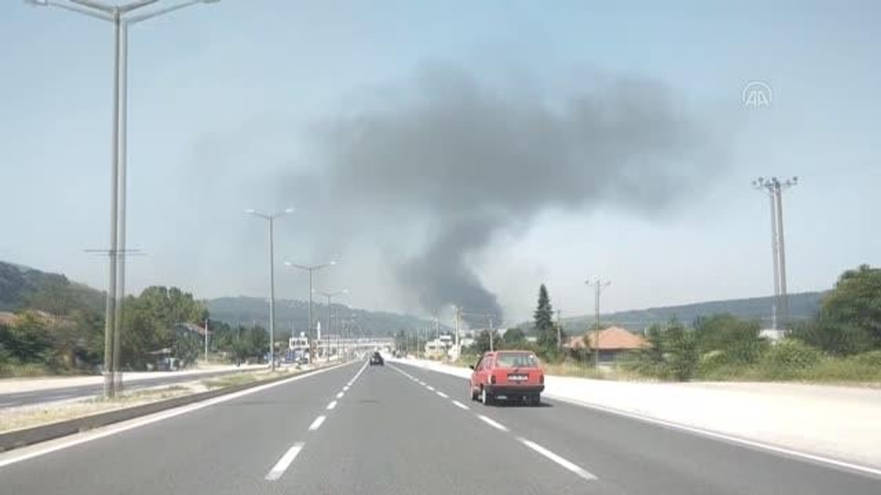Son dakika haberleri! Kuruyemiş fabrikasında yangın