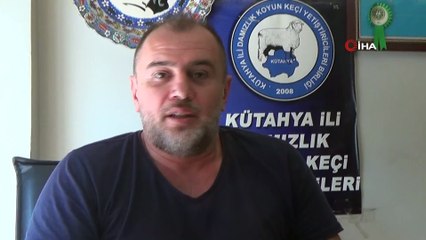 Yangın bölgesi için Kütahya'dan örnek kampanya