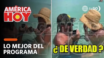 Скачать видео: América Hoy: Ethel Pozo mostro video inédito de su pedida de mano (HOY)