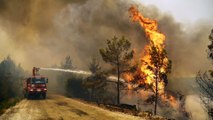 تواصل الجهود للسيطرة على حرائق الغابات في تركيا