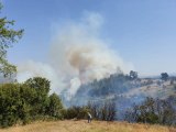 BALIKESİR - Dursunbey'deki orman yangını kontrol altına alındı