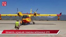 İspanyol uçakları Köyceğiz'deki yangına müdahale etti