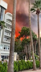 Forest Fire Rolls over Turkey Hillside