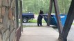 Bear Opens Blue Lunchbox