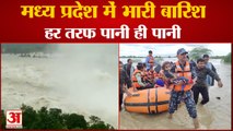 Heavy Rainfall In Madhya Pradesh | कहीं क्षतिग्रस्त हुए पुल तो कहीं खोलने पड़े Dam के गेट