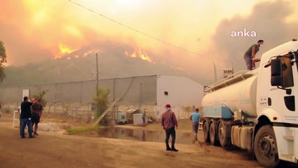 Muğla Milas'ta yangından kaçış anları!