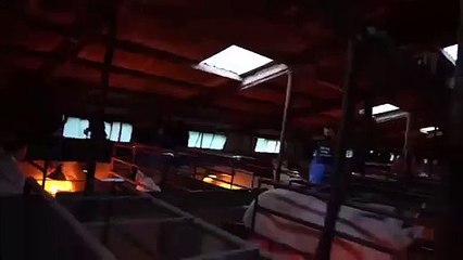 Un éleveur dégage un activiste vegan de son exploitation en mode Spartan