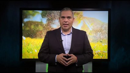 Valor Olímpico 11 - Paea Wolfgramm: La Fuerza del Esfuerzo y la Perseverancia 🏅