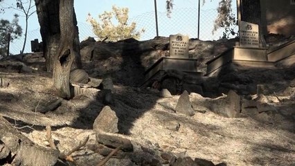 Dumanları gören vatandaşlar yardıma koştu