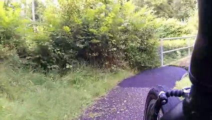 Hochwasser an der Aare