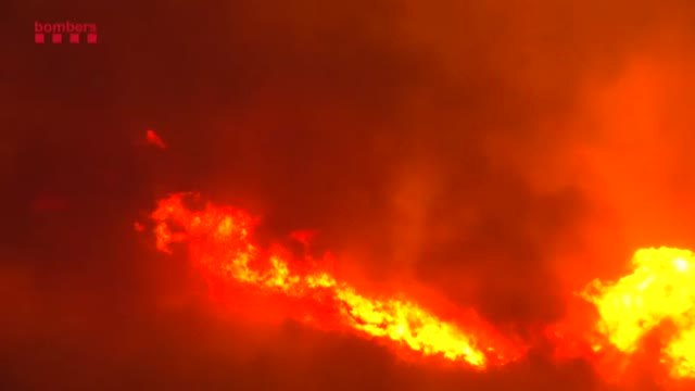 La causa de muchos de los incendios forestales es una simple colilla