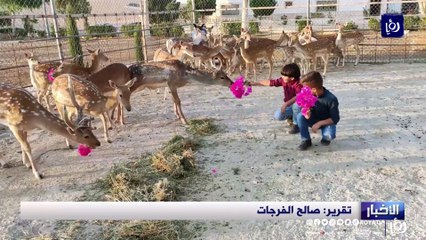 لممارسة هوايته .. أردني يقيم مزرعة لتربية الغزلان والطيور