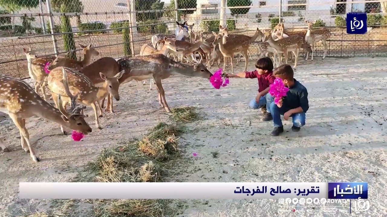 لممارسة هوايته .. أردني يقيم مزرعة لتربية الغزلان والطيور