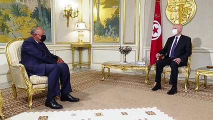 مصر تؤكد "دعمها الكامل" للإجراءات التي اتخذها الرئيس التونسي