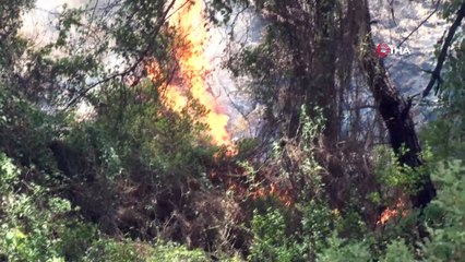Marmaris’te altıncı günde yangınla mücadele devam etti