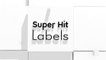 Super Hit Labels | Logo Reveal | Company Brand