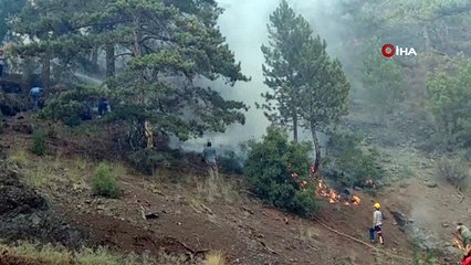 Tavas’ta ki yangın kısmen kontrol altına alındı