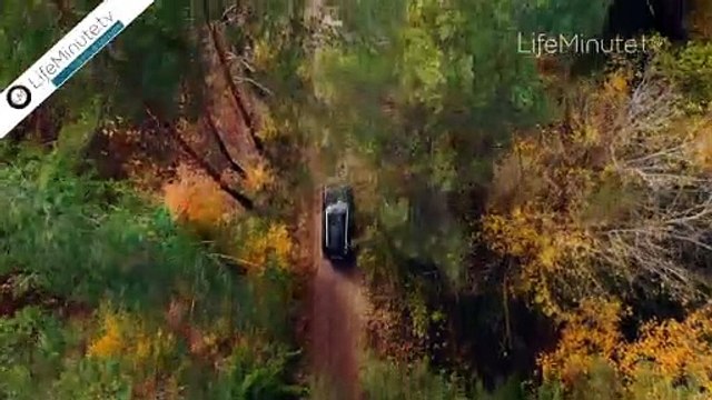 On-The-Go Travel Essentials