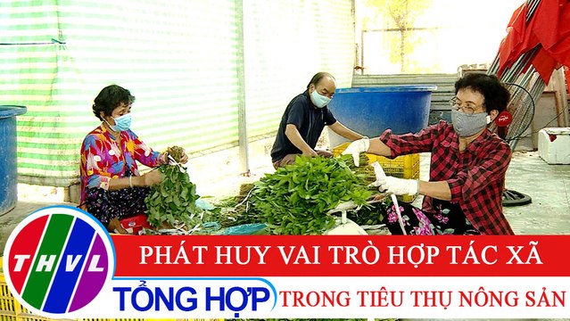 Nông thôn ngày nay: Phát huy vai trò hợp tác xã trong tiêu thụ nông sản