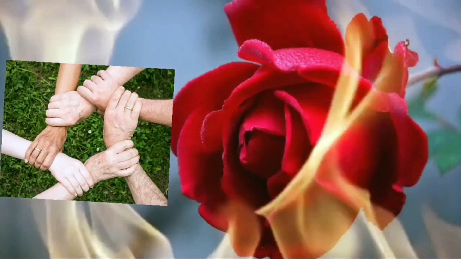 ⁣Vital Whales Music, Mind Refreshing Music, Postive Energy Music