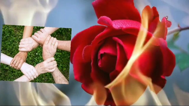 Vital Whales Music, Mind Refreshing Music, Postive Energy Music