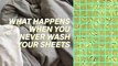 What would happen if you never washed your sheets