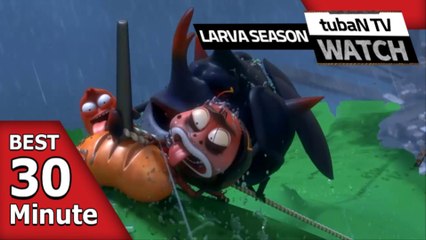 RANDOM PLAY I Watch 30 minutes a day!! I Ep.114 I Larva Cartoon I Larva Official Channel  I part.1