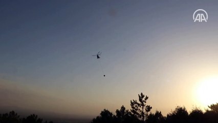 Tavas'ta çıkan orman yangınına müdahale ediliyor