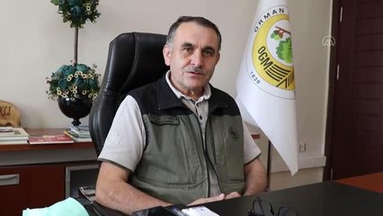 Ormanlık alanlar gözetim kulelerinden 7/24 izleniyor