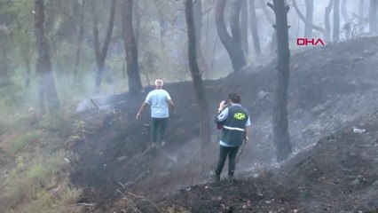 Son dakika! Otomobilde çıkan yangın ormana sıçradı, 3 hektar alan küle döndü