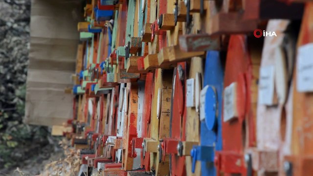 Hizan’ın 2 bin 700 rakımlı yaylalarında doğal bal üretimi