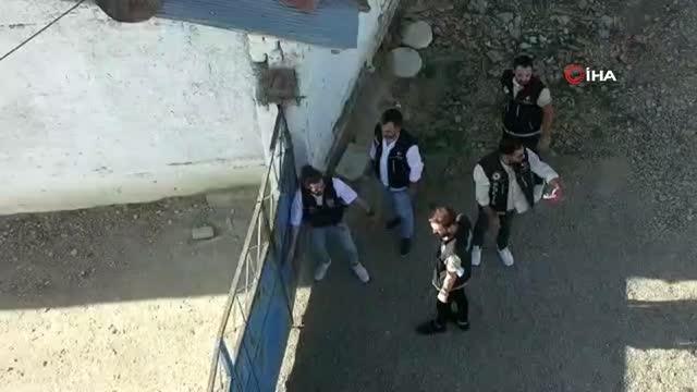 Son dakika haber! Karı koca çiftin mısır tarlası görünümlü uyuşturucu tarlasına polis operasyonu