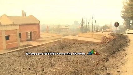 Κρανίου τόπος η Εύβοια - Εικόνες από καμένα σπίτια, αυτοκίνητα και καλλιέργειες