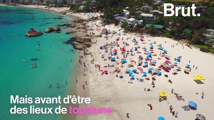 La moitié des plages de sable dans le monde pourraient bientôt disparaître
