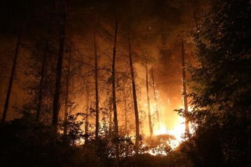 Menteşe'de yangınla mücadele gece boyunca devam etti