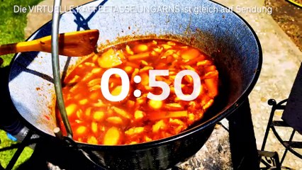 Die Virtuelle Kaffeetasse Ungarns am 04.08.2021