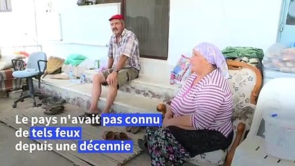 La Turquie connaît ses pires incendies en une décennie